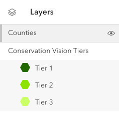 Layer Widget